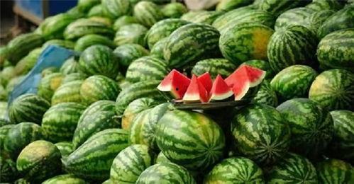 四个字网红吃瓜视频