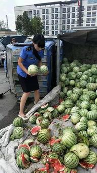 吃瓜网热心的吃瓜群众,揭秘吃瓜网热门话题背后的真相